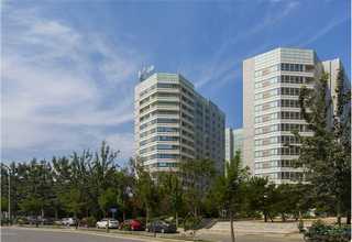 聚氨酯固化剂N3300代理商